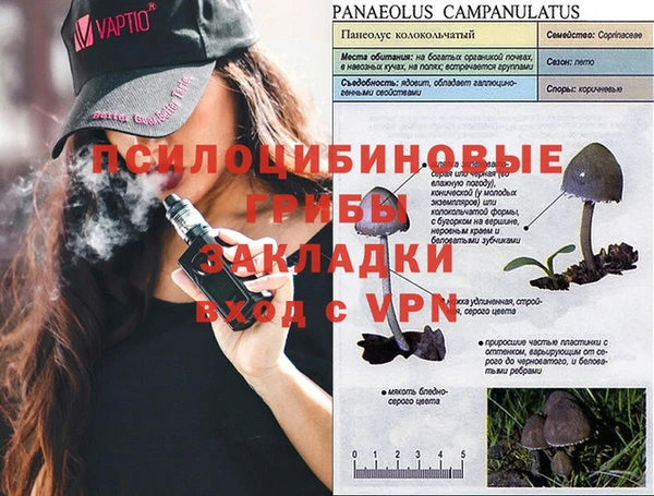 бутират Алексеевка