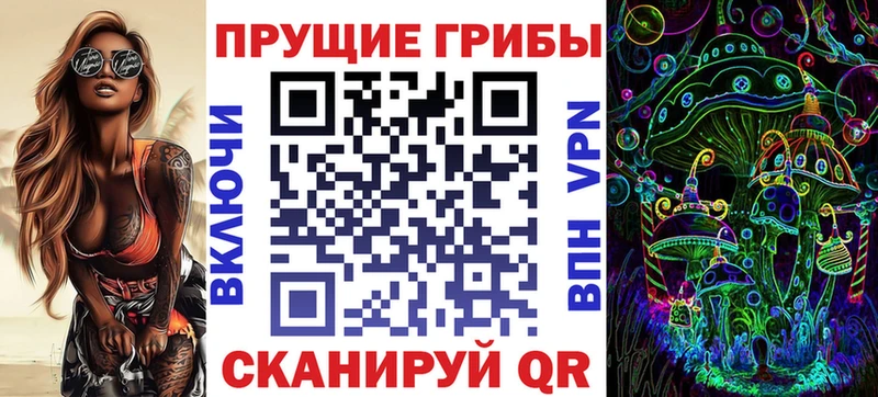 Псилоцибиновые грибы Psilocybine cubensis Ленинск