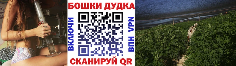 Шишки марихуана Amnesia  Ленинск 